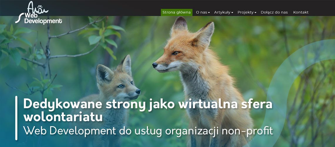 Web Development do usług organizacji Anon - praca non profit